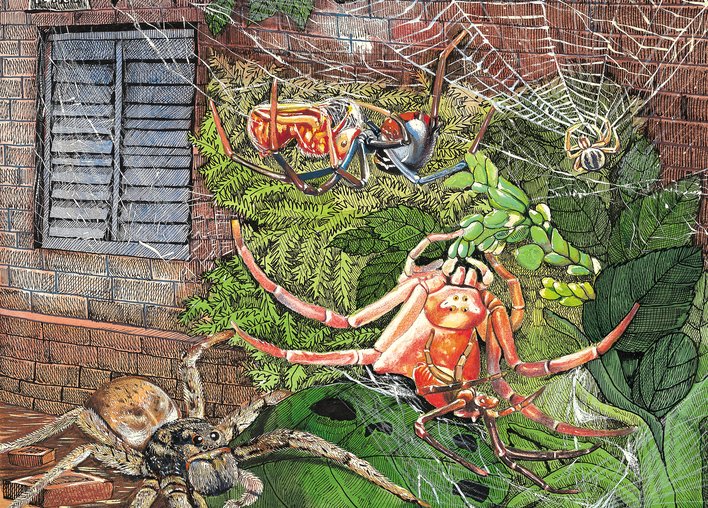 Spider's Home