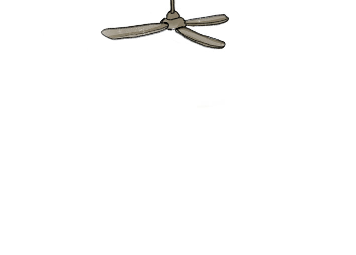 A fan