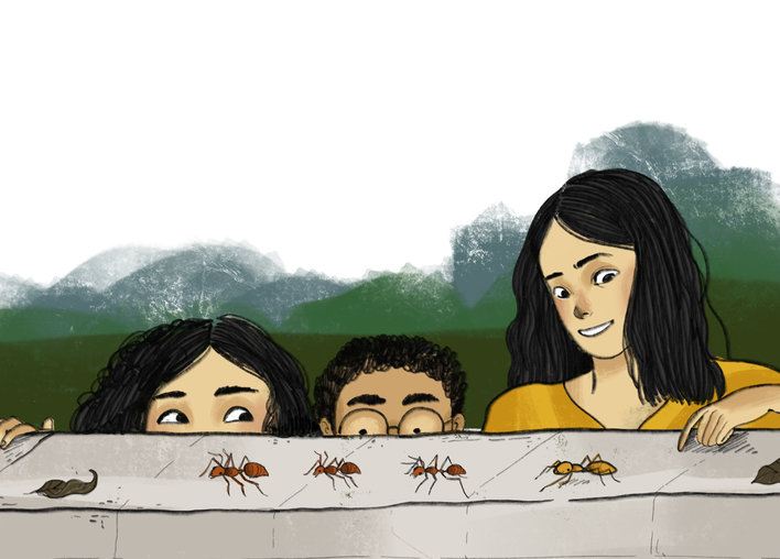 Kids looking at ant-mimic spiders