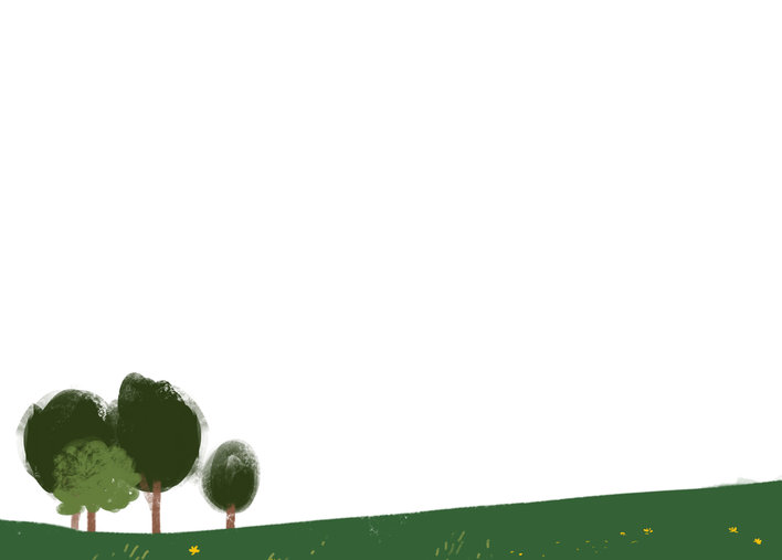 Trees in a lawn