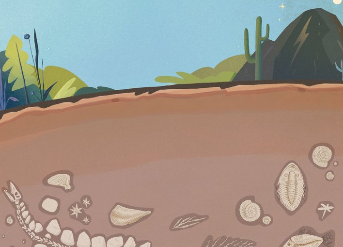 Fossils