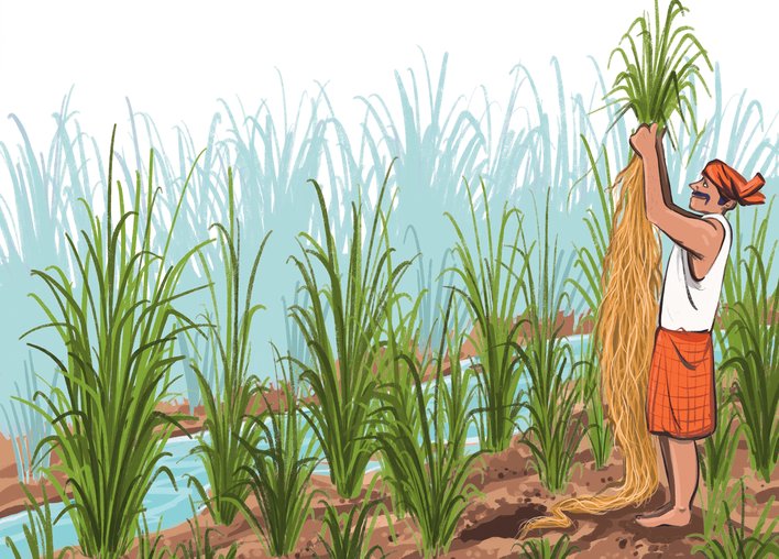 A man picking grass