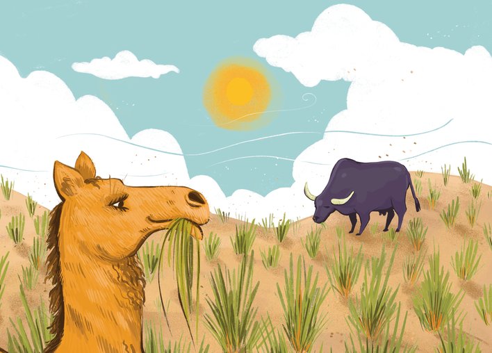 Animals in a desert