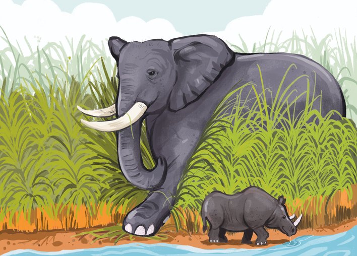 Elephant and rhino playing