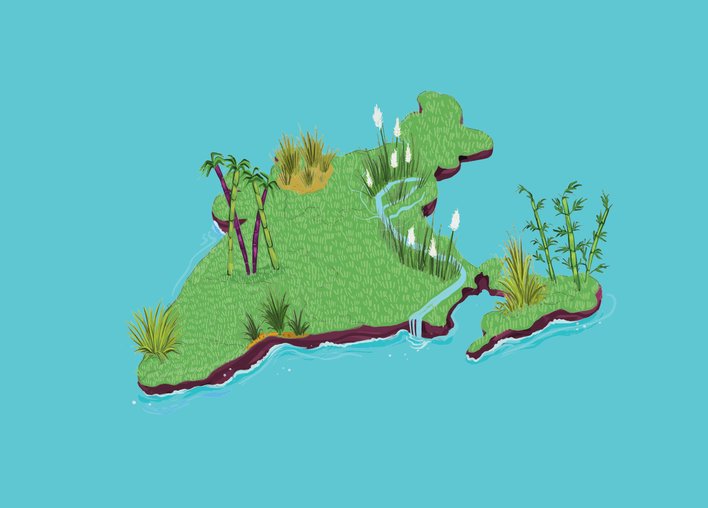 A map of India with grass found in the country