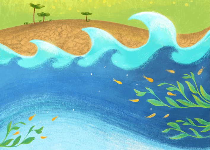 Plants and fish under the sea
