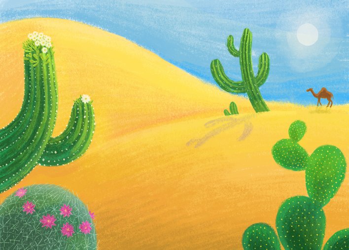 Camel walking along a hot sandy desert filled with various cacti