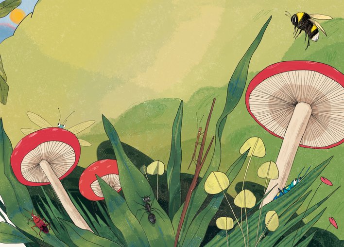 Insects in a jungle