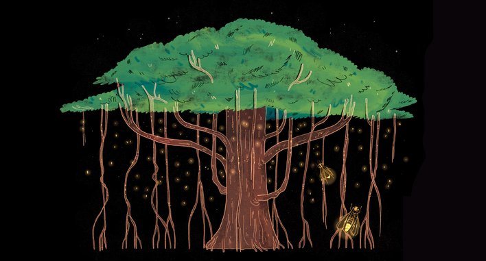 A banyan tree lit up by fireflies at night