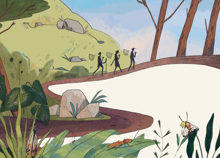 People walking through a jungle