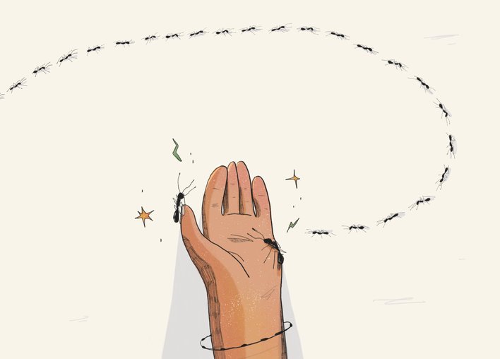 Ants crawling on a hand