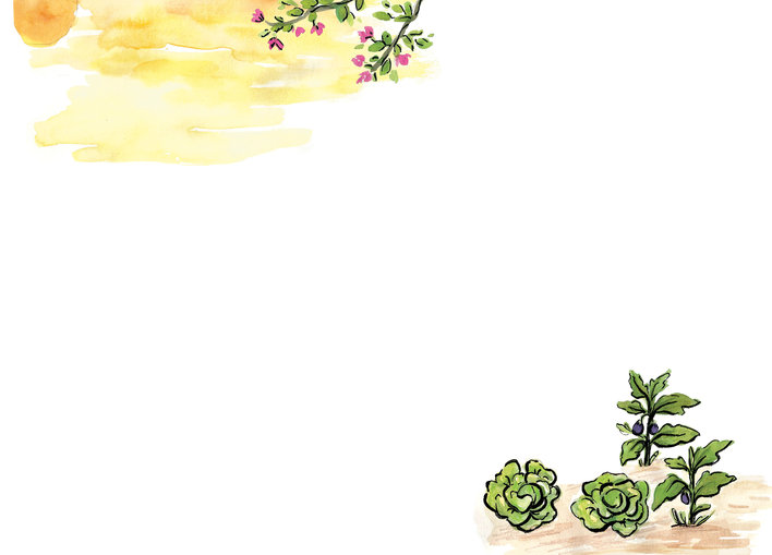 The sun and the garden