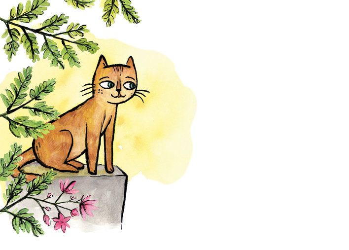 Cat sitting on a wall