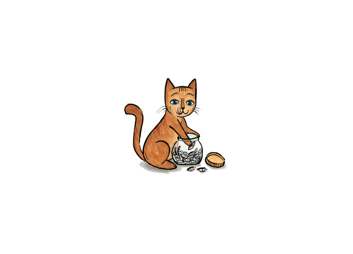 cat