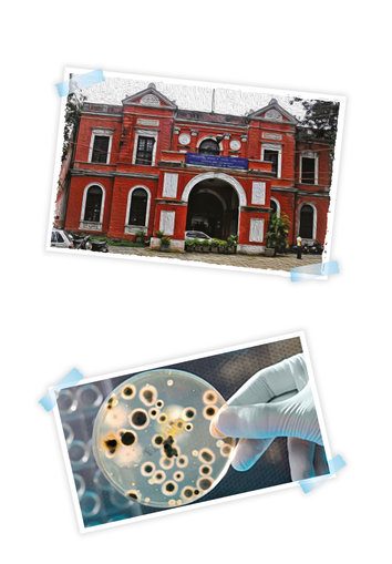 University Visvesvaraya College of Engineering, and a pircture from University of Agricultural Sciences