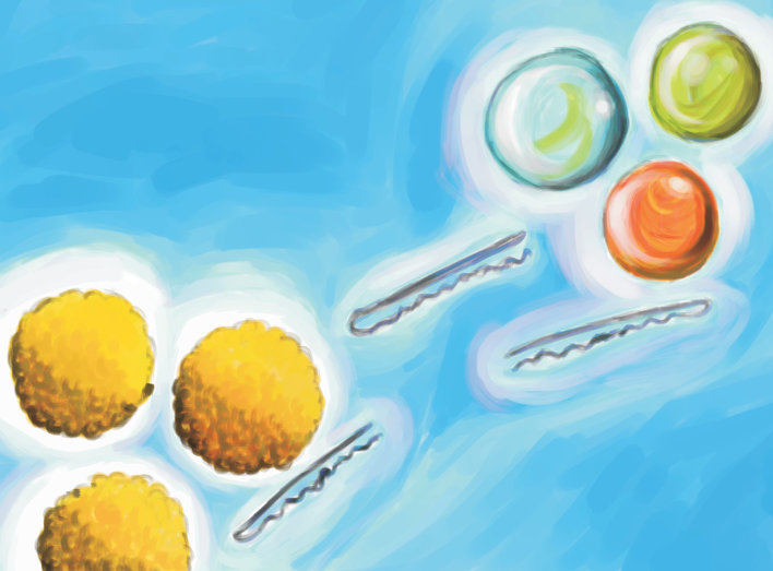 Laddoos, marbles and hairclips