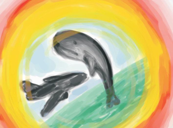 Fish and whales