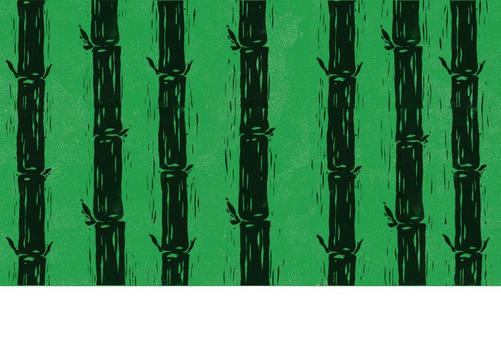Bamboo vertical