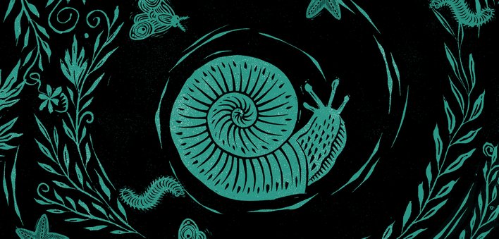 Snail around plants