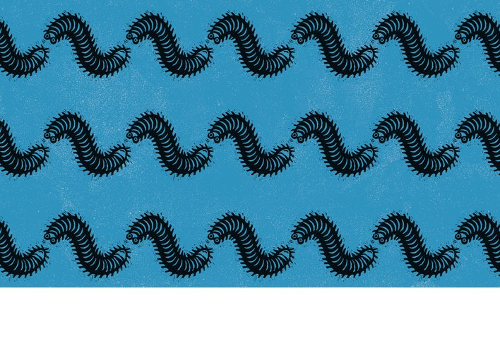 millipedes forming a wave pattern