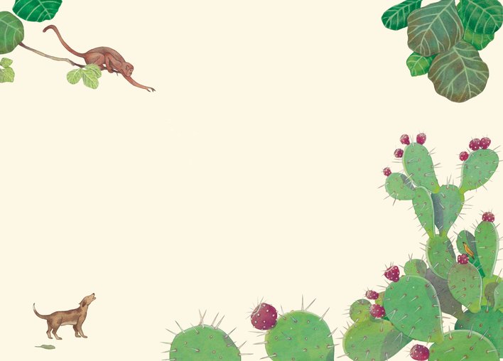Monkey and dog near cactii