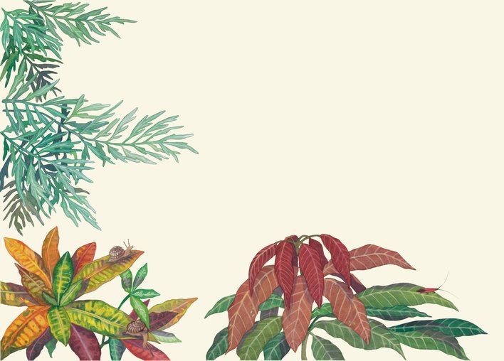 Snails on coloured leaves
