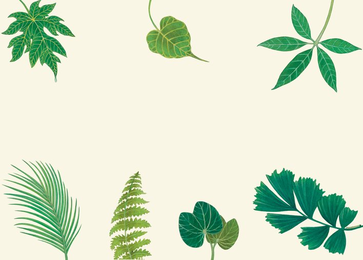 Different type of leaves