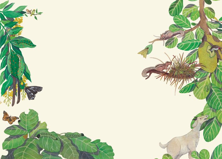 Animals around plants