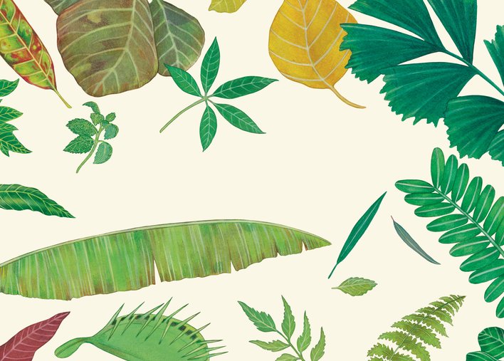 different kinds of leaves
