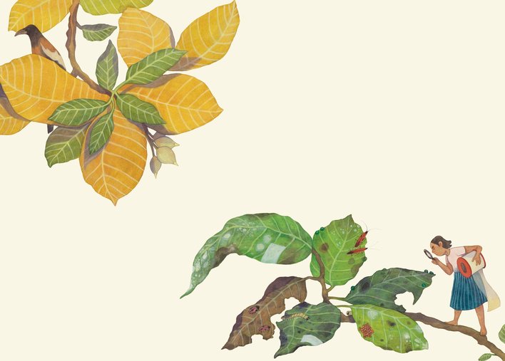 Girl with a magnifying glass around big leaves