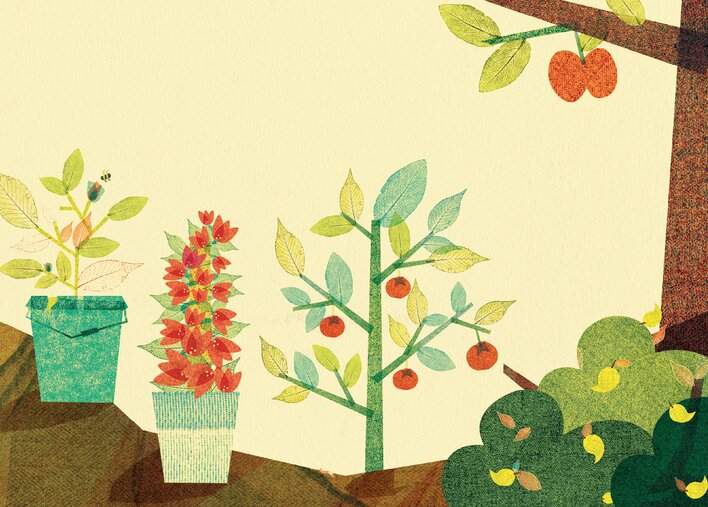 Using manure to propogate new plants