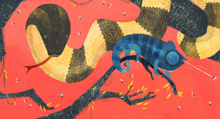 Snake and Chameleon