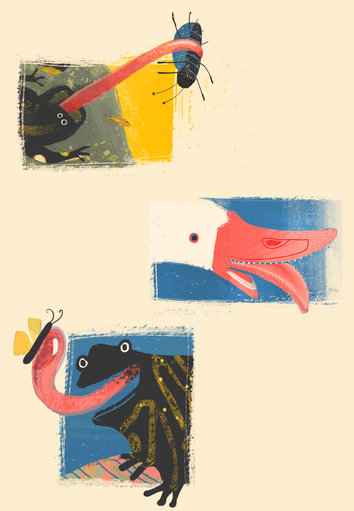 Salamander and Goose and Frog