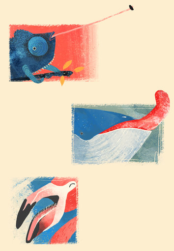 Chameleon and Whale and Flamingo