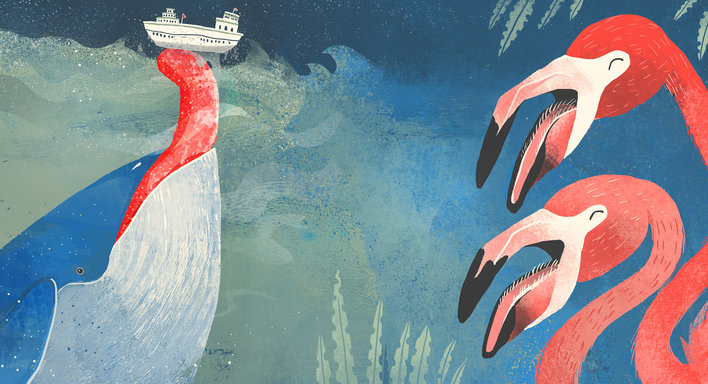 Whale and Flamingo