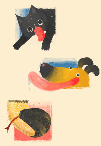 Cat and Dog and Snake