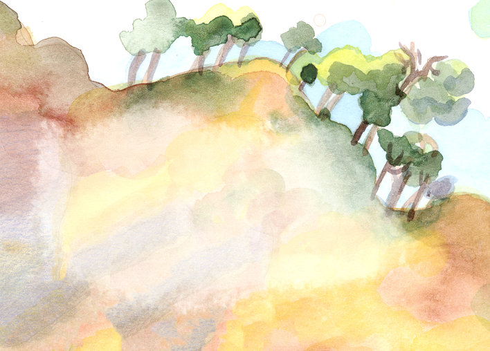 A hilly landscape with trees