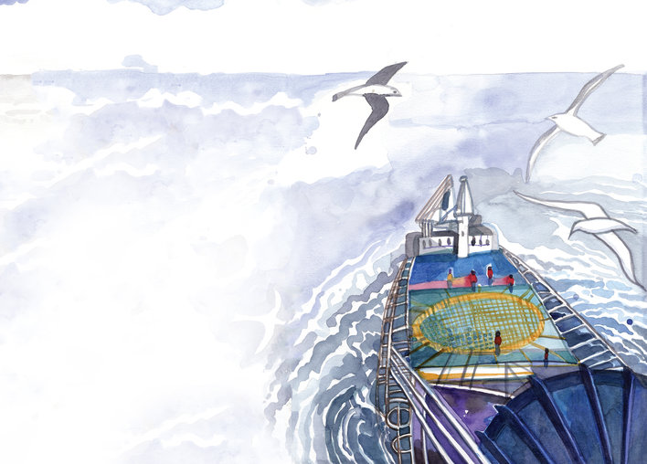 Birds flying over a ship