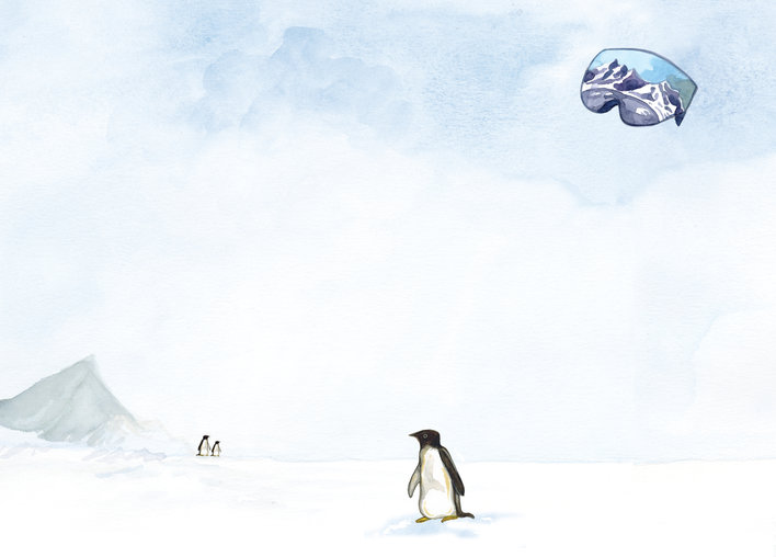 A penguin