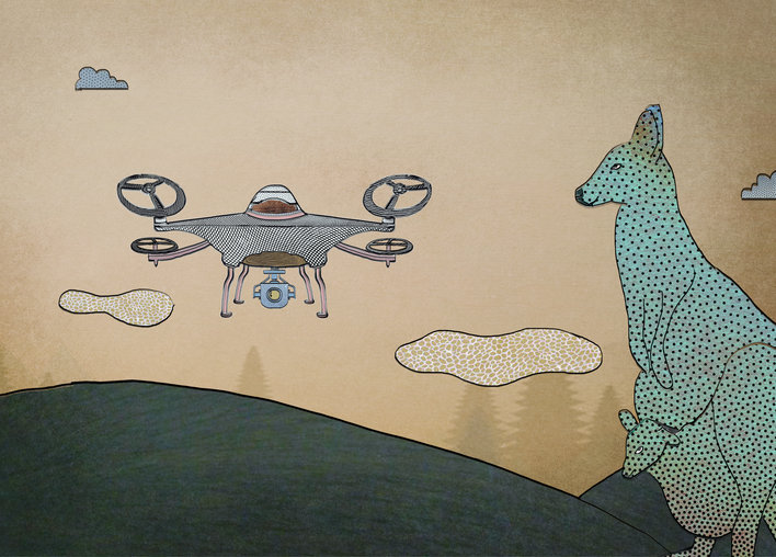 A kangaroo and a drone