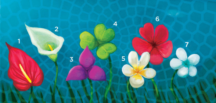Flowers of various kinds
