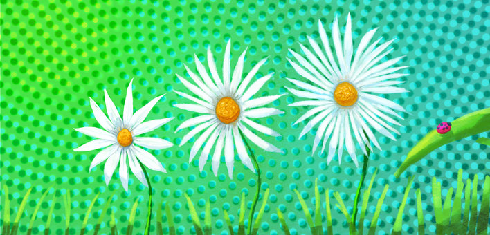 Daisies