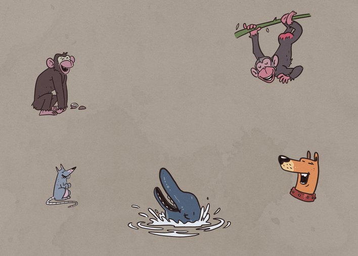 Group of laughing animals