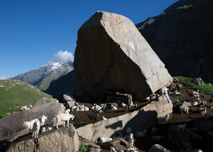Huge rock with goats grazing around