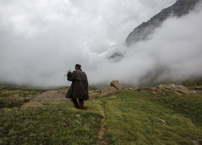 Old man gathering firewood in the mountains