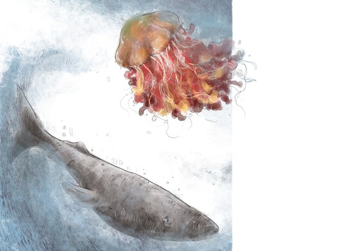 Greenland Sharks and Lion's Mane Jellyfish