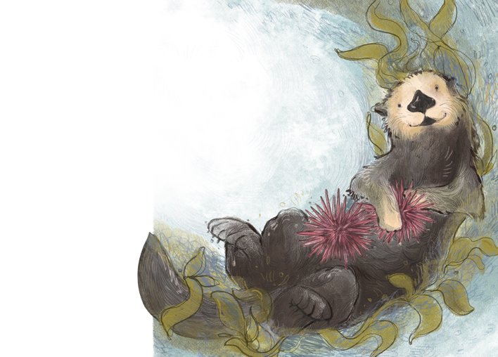 Sea otter with red sea urchin