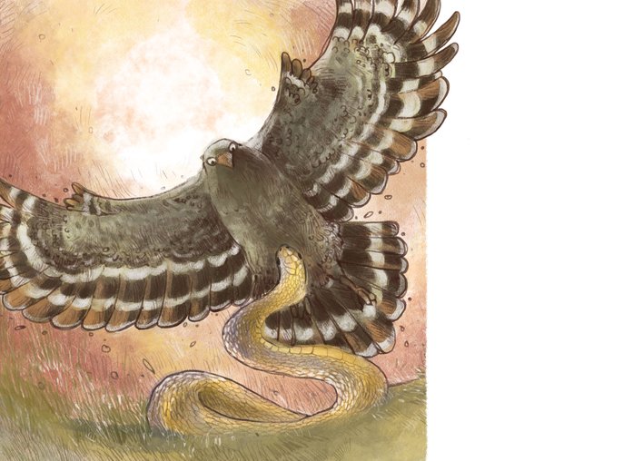 Crested Serpent Eagle and Rat Snake