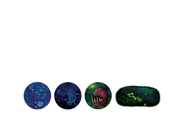 Aquatic creatures