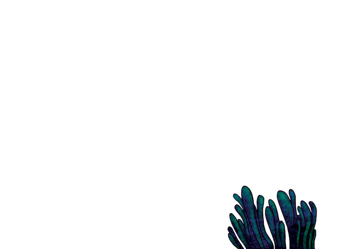 Algae